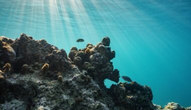 US takes aim at UN climate proposal