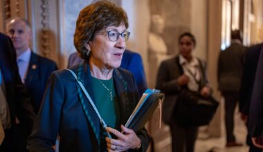 Susan Collins announces reelection bid for Maine Senate seat