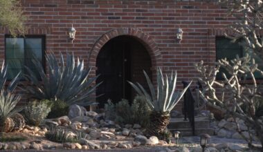 Savannah Guthrie pleads for safe return of mother, says 'We will pay'