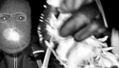 Investigators search second home in Nancy Guthrie kidnapping case