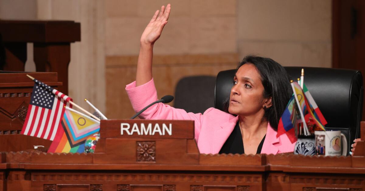Nithya Raman, running for mayor, says L.A. shouldn't lose more cops