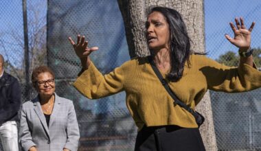 Bass helped Raman win reelection. Now Raman wants to unseat her. Some call it 'a betrayal'