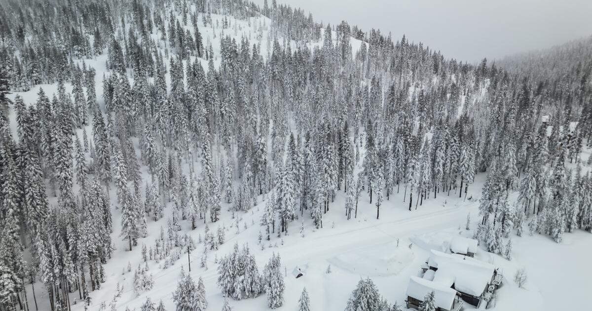 Rescuers search, amid worsening weather, for 10 skiers caught in Sierra avalanche