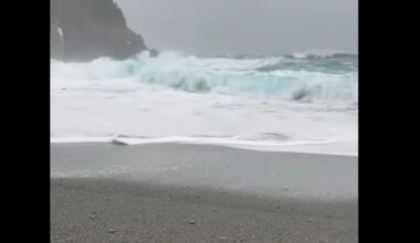 Beach Visit Turns Dangerous: Quick-Thinking Couple Saves Family