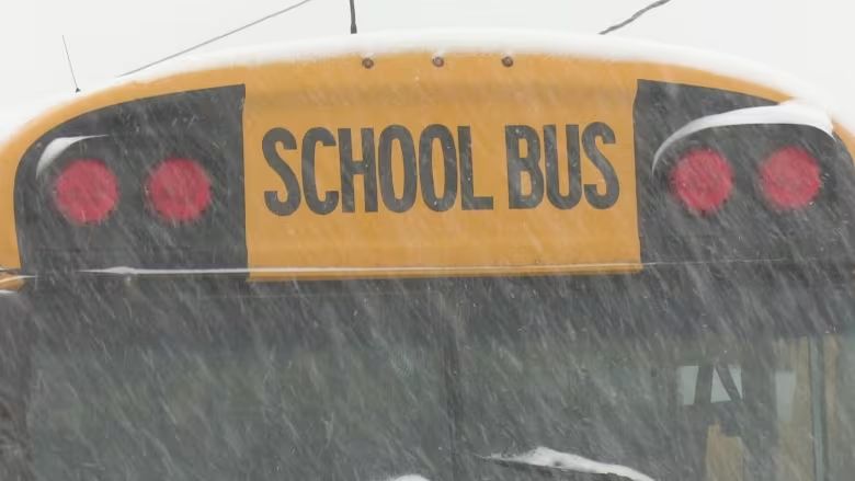 4 students sent to hospital in Ontario school bus crash
