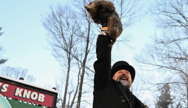 Punxsutawney Phil is said to have seen his shadow, forecasting 6 more weeks of winter