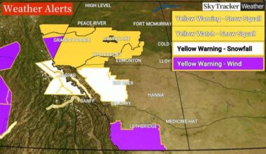 Heavy snowfall, high wind warnings issued for much of southern Alberta