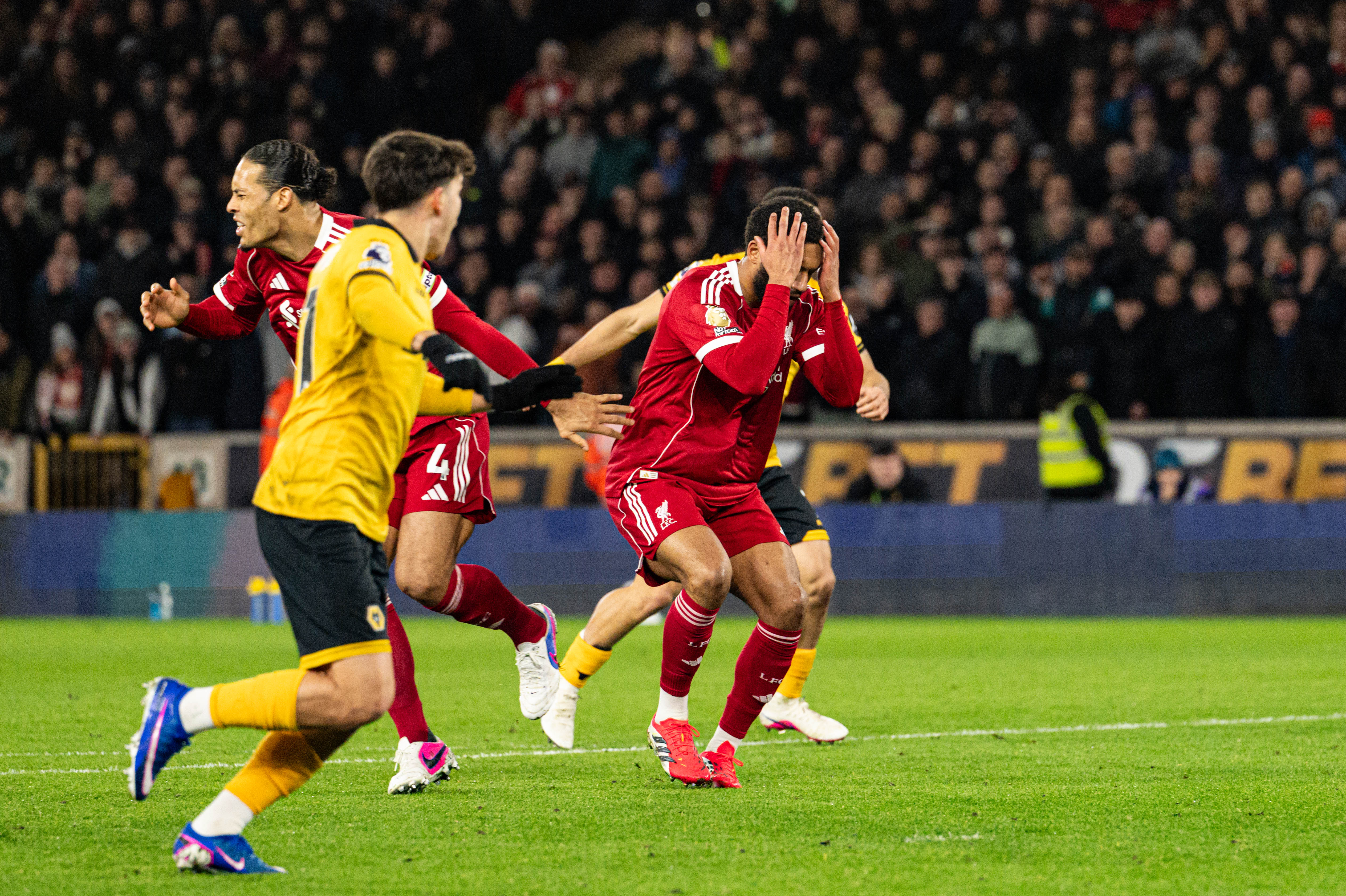 Joe Gomez of Liverpool holds his head in despair as Andre of Wolverhampton Wanderers celebrates scoring the winning goal.