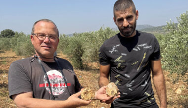 Paleolithic chic: 500,000 years ago, Israel’s ancient toolmakers had a taste for sparkle