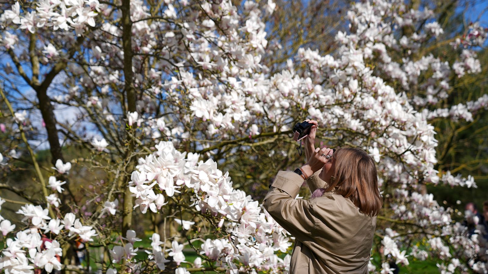 Spring surge: UK temperatures set to soar – but how warm could it get?