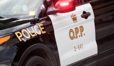 Snowmobiler, 19, killed following crash with transport