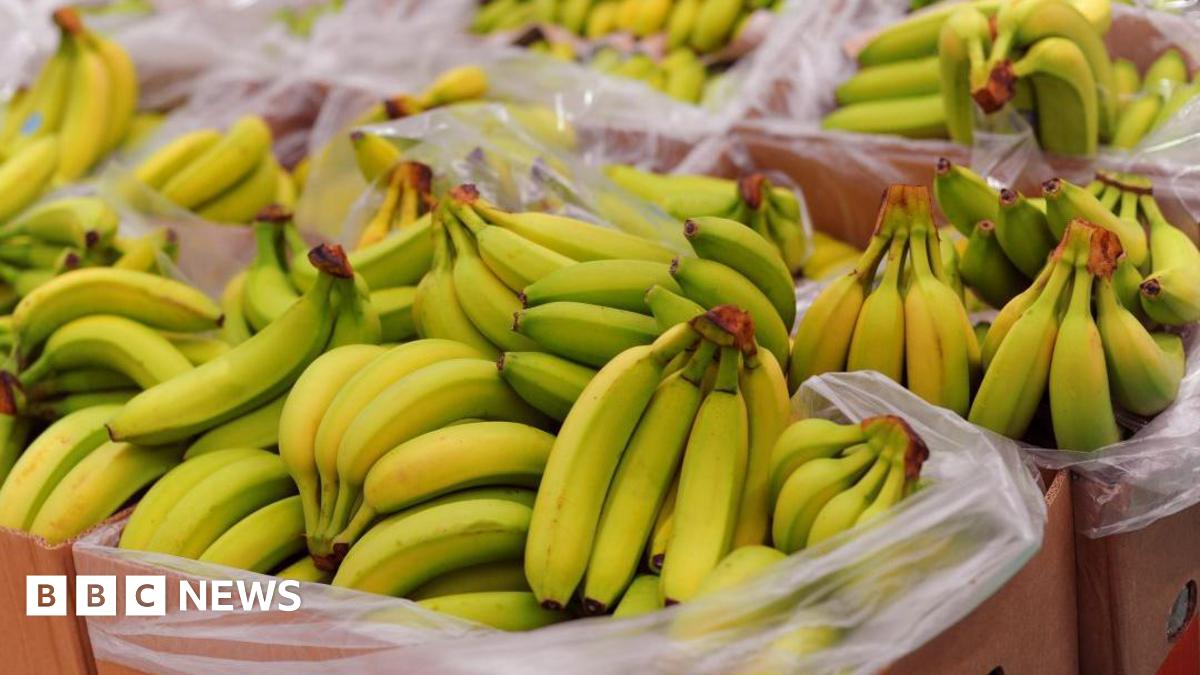 A stock image of boxes of bananas