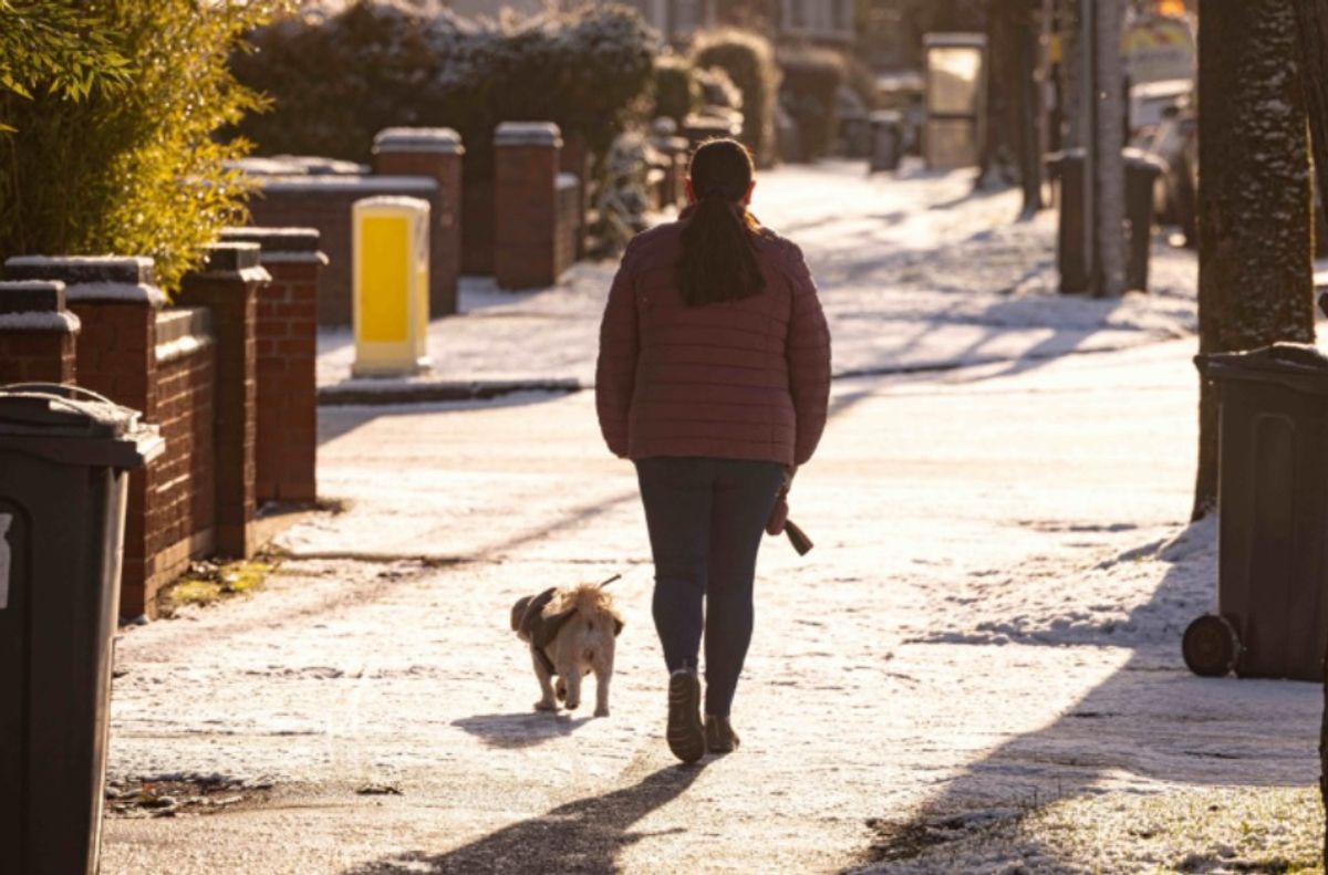 New dog walking law for all owners in England and Wales from Wednesday