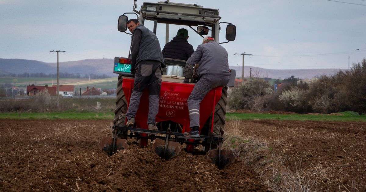 Kosovo, one of Europe's poorest countries, struggles as Iran war drives up fuel prices :: WRAL.com