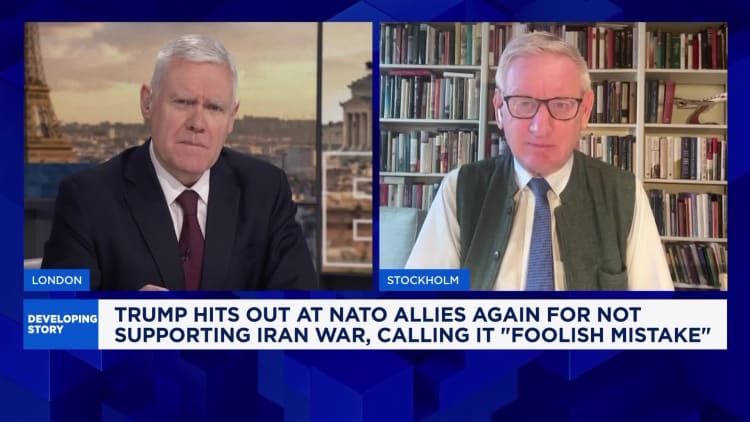 Nato will endure despite going through fairly 'rough period' says former Swedish prime minster