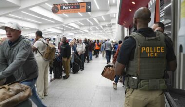 ICE deployed to some U.S. airports as long security lines persist