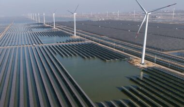 ‘Europe learned the wrong lesson’ by doubling down on fossil fuels while India and China went green