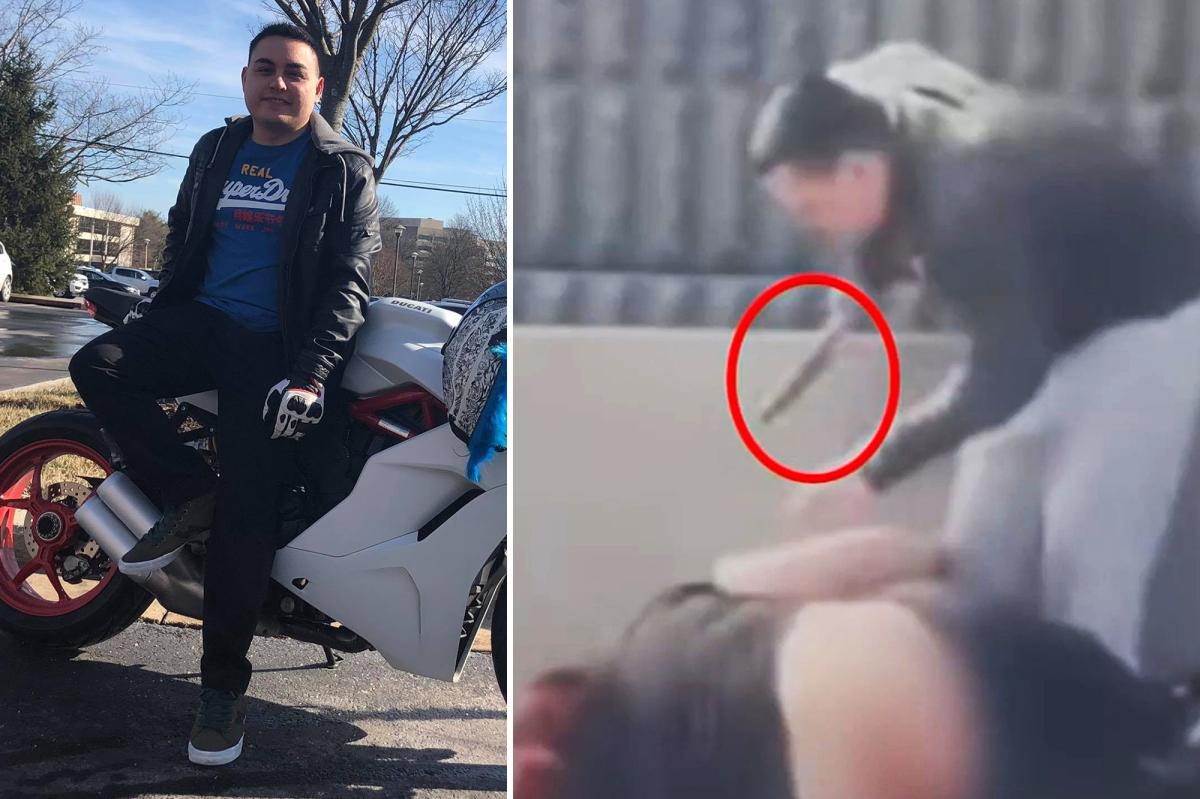 State Department officer stabbed complete strangers and his own dog in deadly Virginia road rage outburst