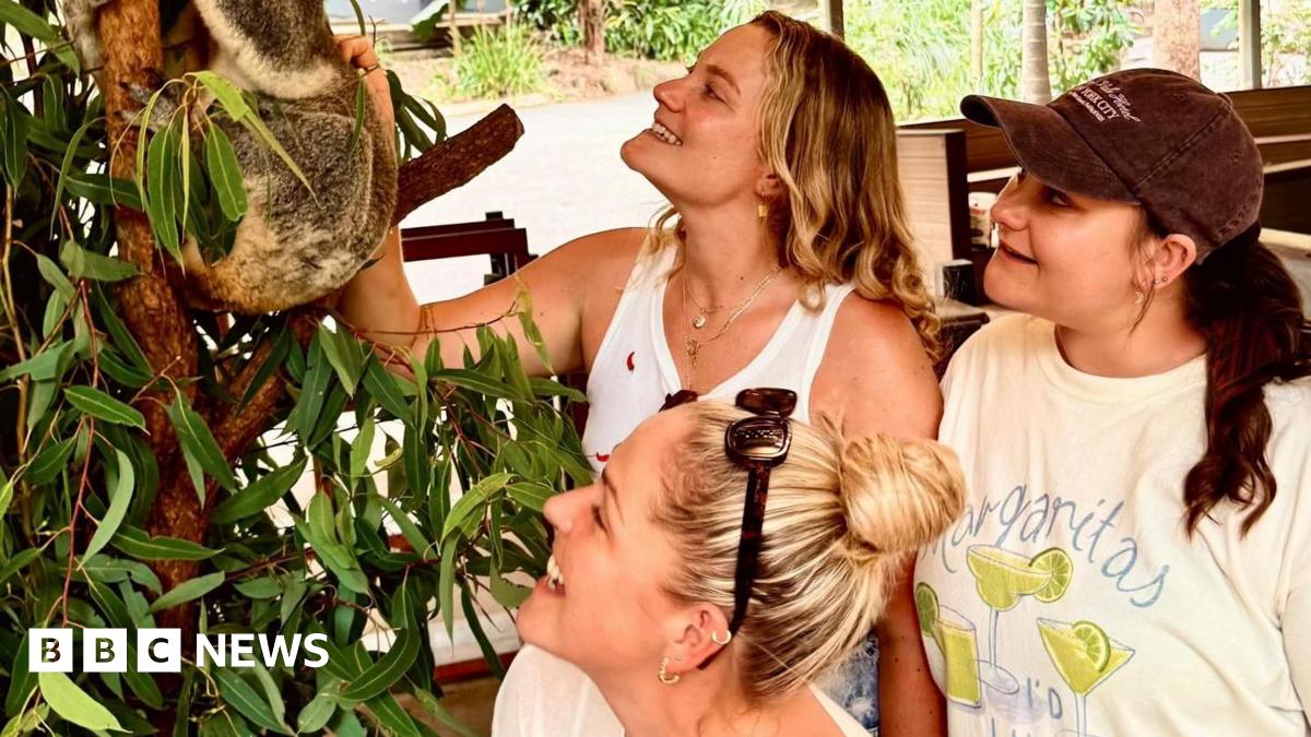 Three women looking at a Koala sat in a tree. The three women are all smiling.