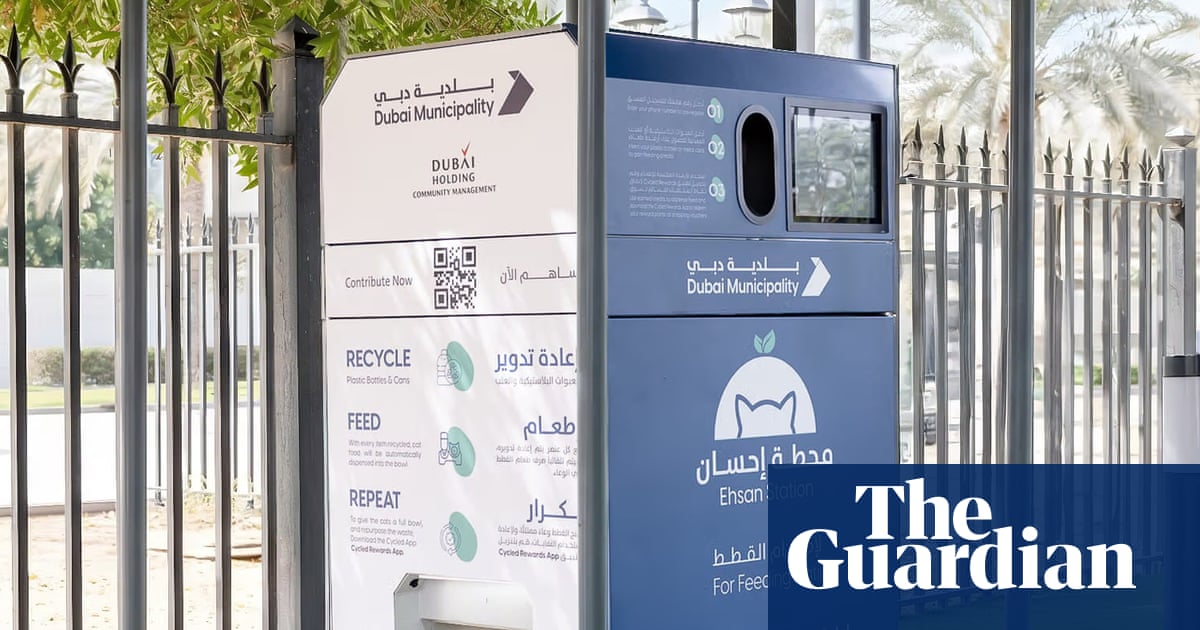 Thousands of pets being abandoned in Dubai as owners flee over Iran war | Animal welfare