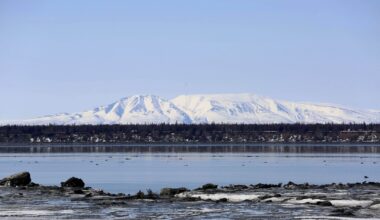 Number of Bids at Trump's Alaska Drilling Auction: Zero