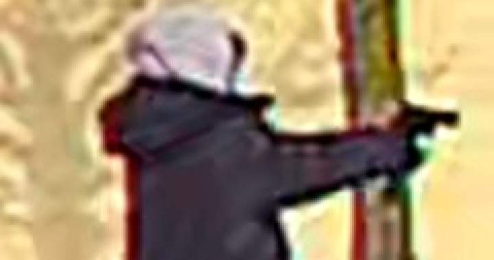 Toronto, Vaughan homicides share same suspect – 19-year-old Edmonton man: police