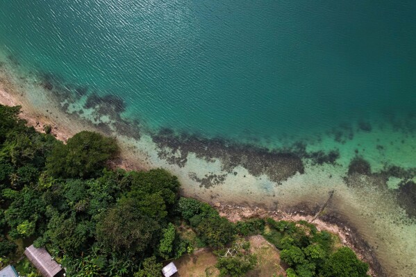 The coastline of Efate Island, Vanuatu is visible on July 19, 2025. (AP Photo/Annika Hammerschlag, File)
