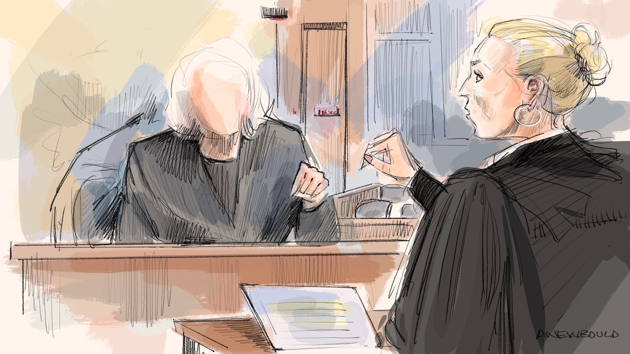 Stronach's lawyer Leora Shemesh cross-examines the seventh complainant in a Toronto courtroom.