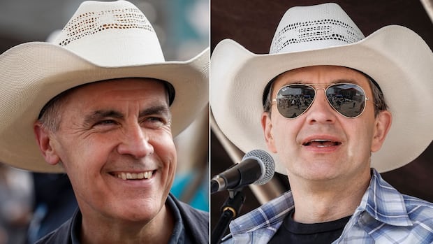 Gap narrows in Alberta as federal Conservatives shed some support to Liberals: poll
