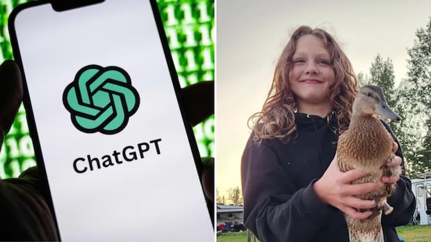 Family of Tumbler Ridge shooting victim suing OpenAI