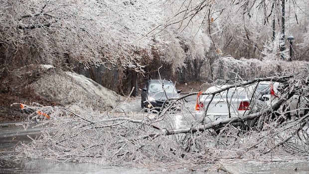 Major freezing rain storm approaching southern Quebec, Environment Canada warns