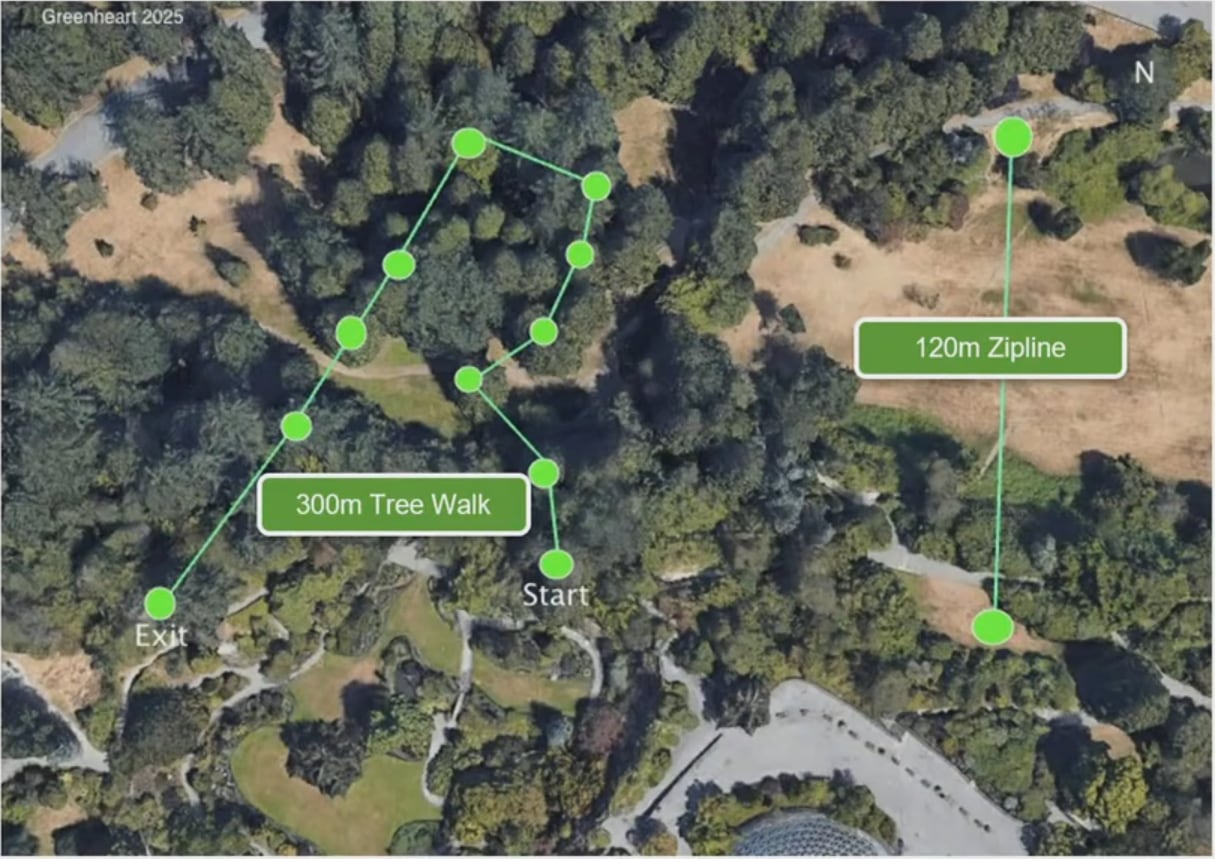 An aerial map of a treed park, with green dotted lines showing where a canopy walk and zipline will go.