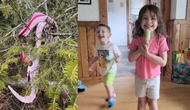 2nd round of polygraphs conducted in disappearance of N.S. children