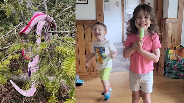 2nd round of polygraphs conducted in disappearance of N.S. children