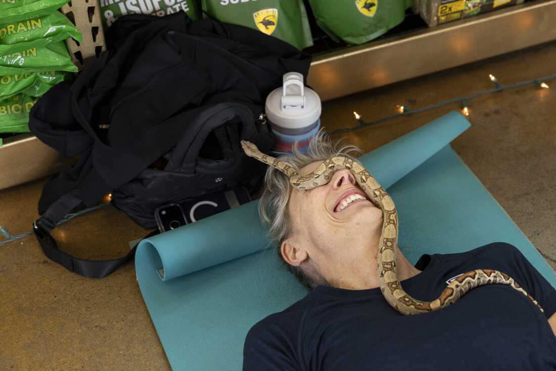  As Snake Yoga winds to a close, a snake slithers across Julie Connolly's face.