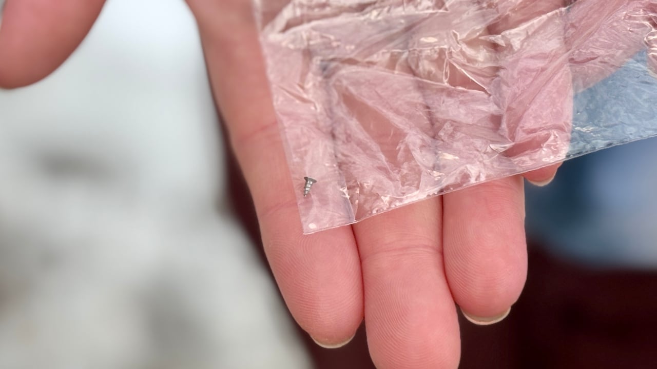 A tiny silver coloured screw