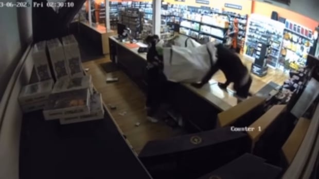 Tens of thousands of dollars in damage after Pokemon cards stolen in B.C.'s Lower Mainland