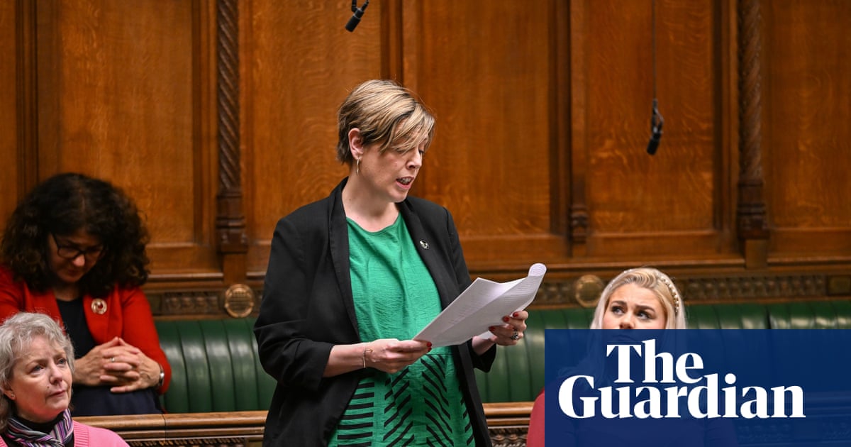 Sons were suspects in nearly one in five cases of women killed by men in UK in past year | Violence against women and girls