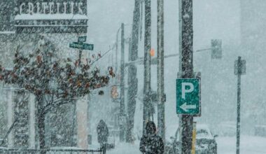 A storm is forecast to drop up to 20 cm of snow in southern Ontario by this weekend