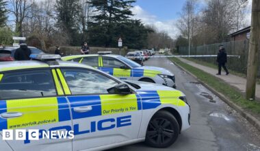 Boy charged over stabbing of teen girl at school near Norwich - BBC