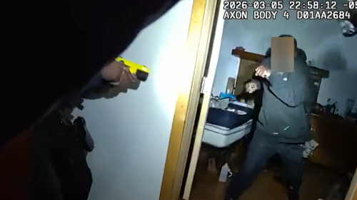 Screenshot 2026-03-13 101518.png