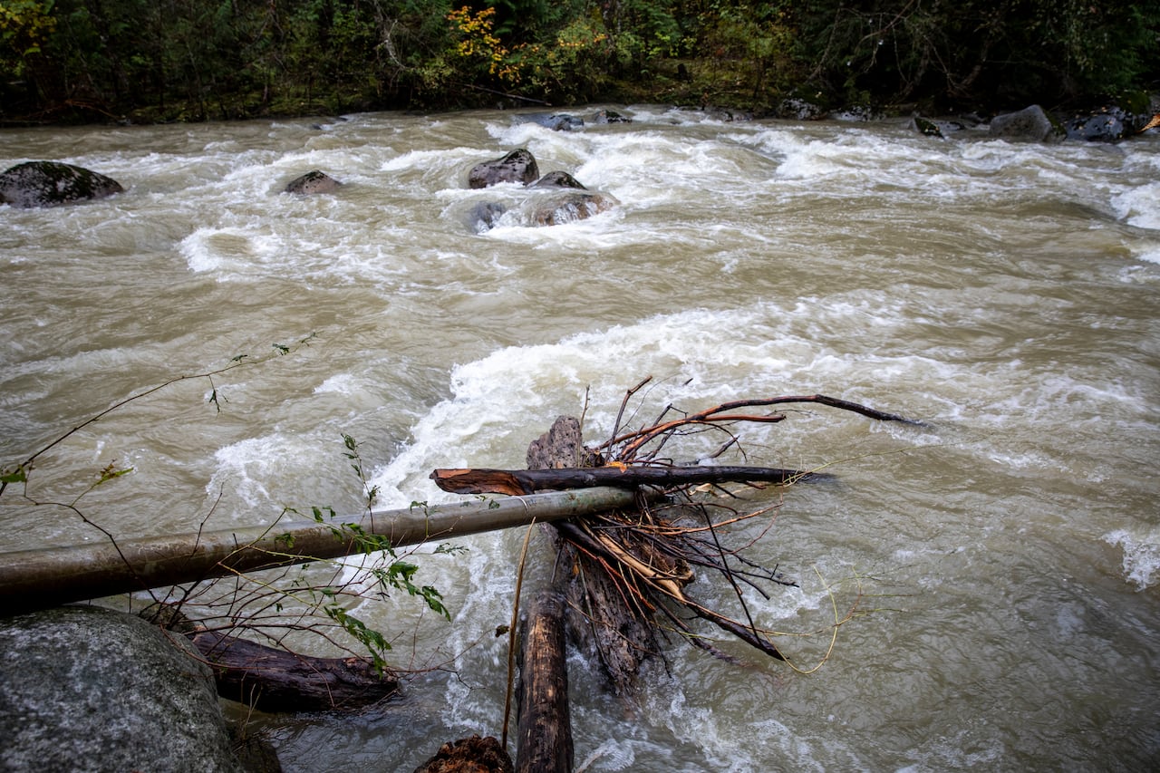 A raging river with tree branches in it.