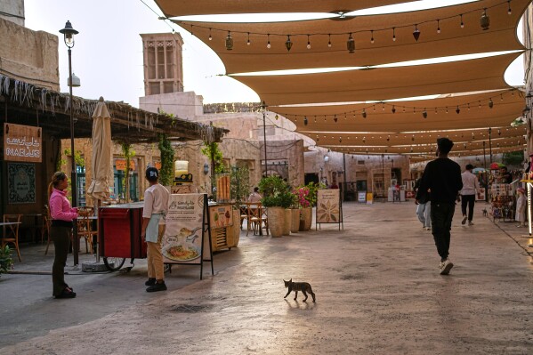 A cat walks at the mostly empty Al Seef market, next to the historic Al Fahidi neighborhood along Dubai Creek, one of the main tourist areas of Dubai, United Arab Emirates, Friday, March 13, 2026, as tourism slows amid regional tensions linked to the Iran war. (AP Photo/Fatima Shbair)