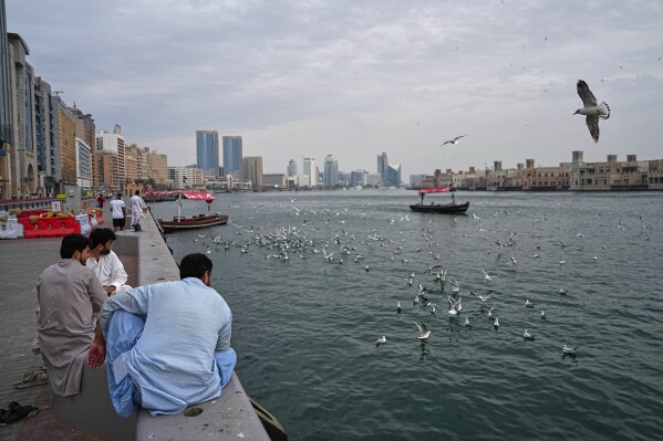 Afghan men watch as seagulls fly over Dubai Creek in Dubai, United Arab Emirates, Tuesday, March 10, 2026. (AP Photo/ Fatima Shbair)