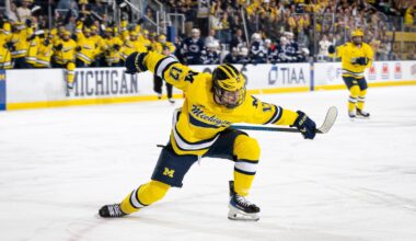 Ohio State University Logo