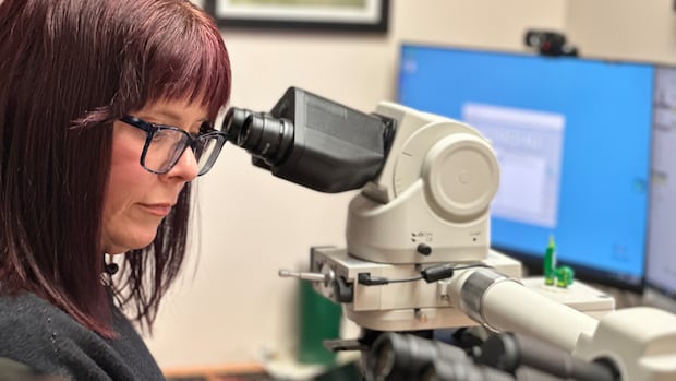 B.C. hires more than 400 U.S. health-care workers in 1-year recruitment blitz