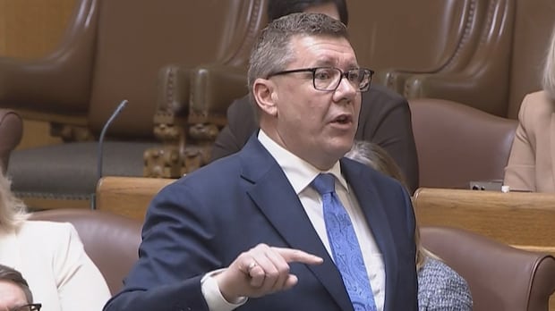 'This is sick': Premier Moe accuses NDP of promoting hate in fundraising email