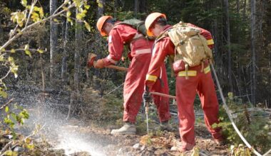 Province preparing for 2026 wildfire season as Environment Canada predicts hot year ahead