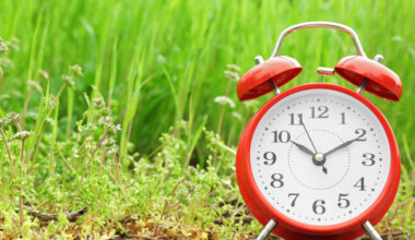 When Do the Clocks Go Forward in 2026? Here’s When British Summer Time Officially Starts