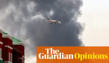 The war in Iran is ripping up the Gulf’s plan for stability | Sanam Vakil